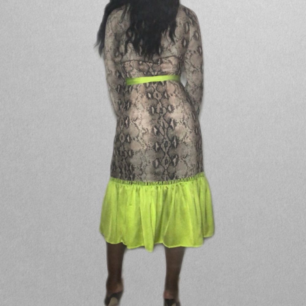 Snake Around - Picture 2 of 4